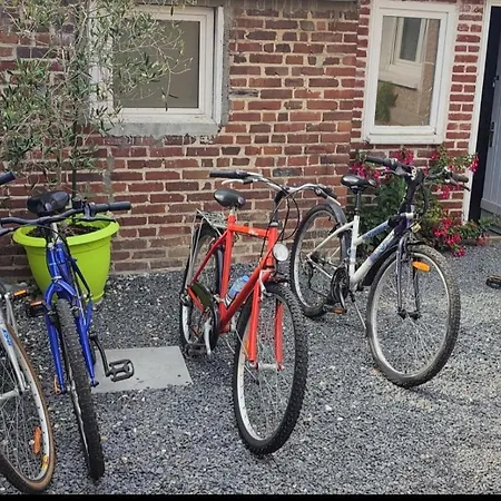 Le Nid Colas cour au sud vélos a dispo Fécamp Extérieur photo