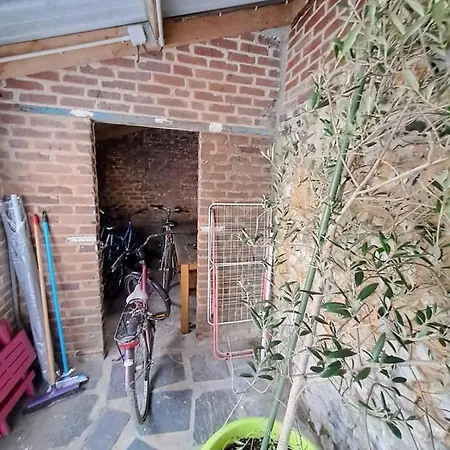 Le Nid Colas cour au sud vélos a dispo Fécamp Extérieur photo