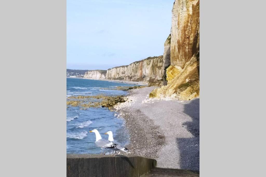 Le Nid Colas Cour Au Sud Velos A Dispo Fecamp